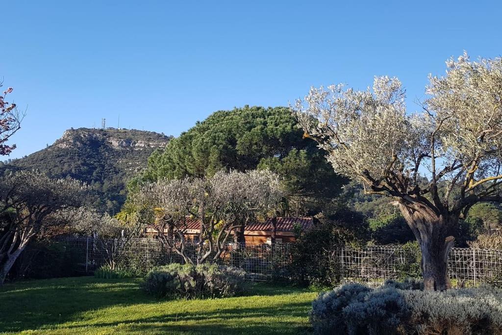 A L'Ombre Du Chene Gites Eden En Cevennes Anduze Exterior foto